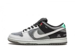 SB Dunk Low Camcorder Sneakers Reps