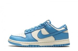 SB Dunk Low Coast Sneakers Reps